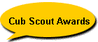 Cub Scout Awards